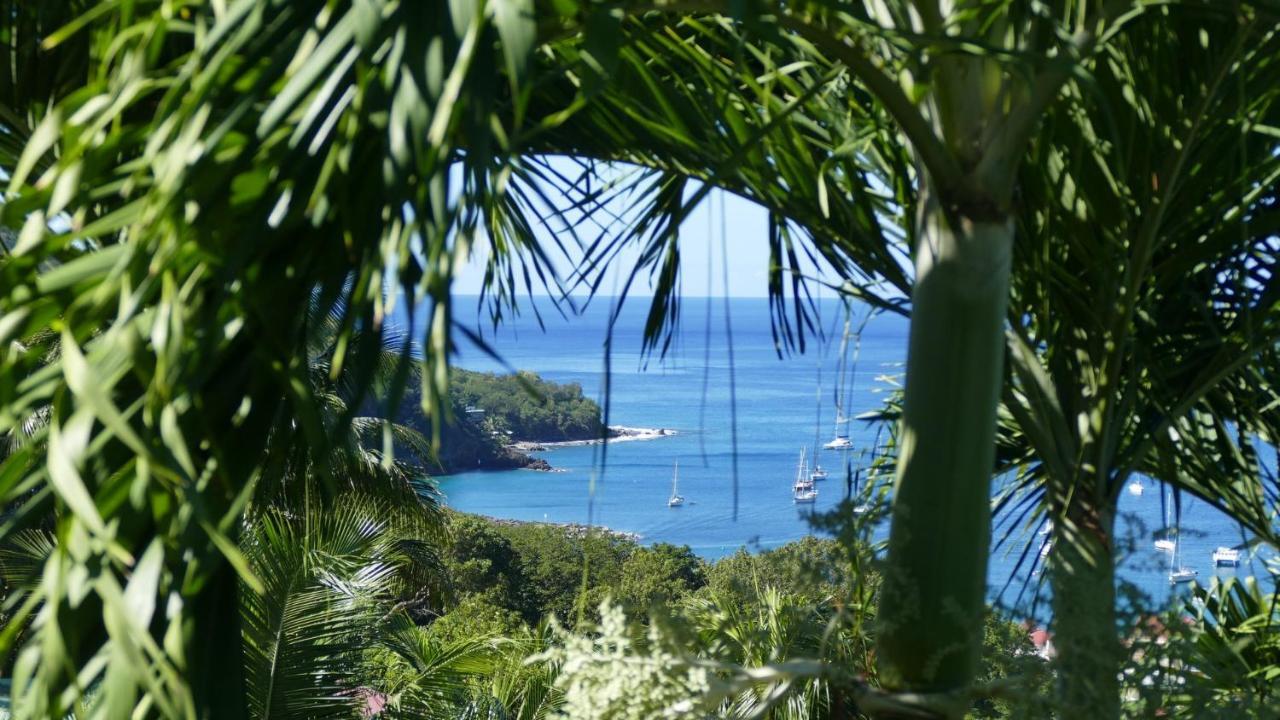O Coeur De Deshaies Appartements Grande Anse Et Amandiers Eksteriør billede